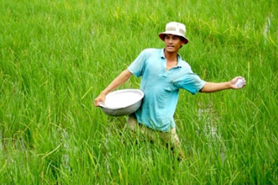 Mất tỷ USD vì dùng phân bón thiếu khoa học